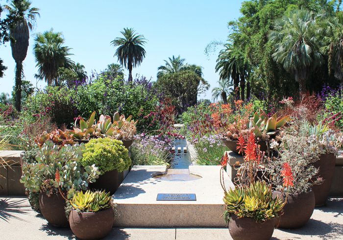 The Huntington garden, garden, botanical garden, california garden